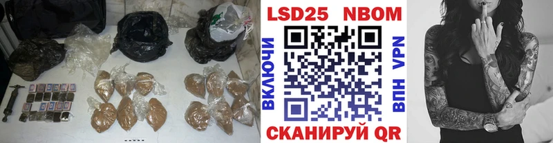 Купить  Куровское  Лсд 25 экстази кислота 