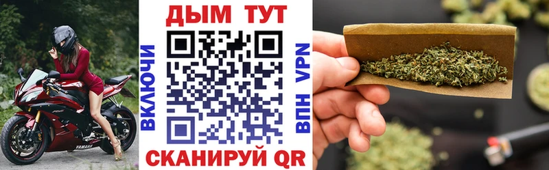 Канабис OG Kush  Купить закладки  Куровское 